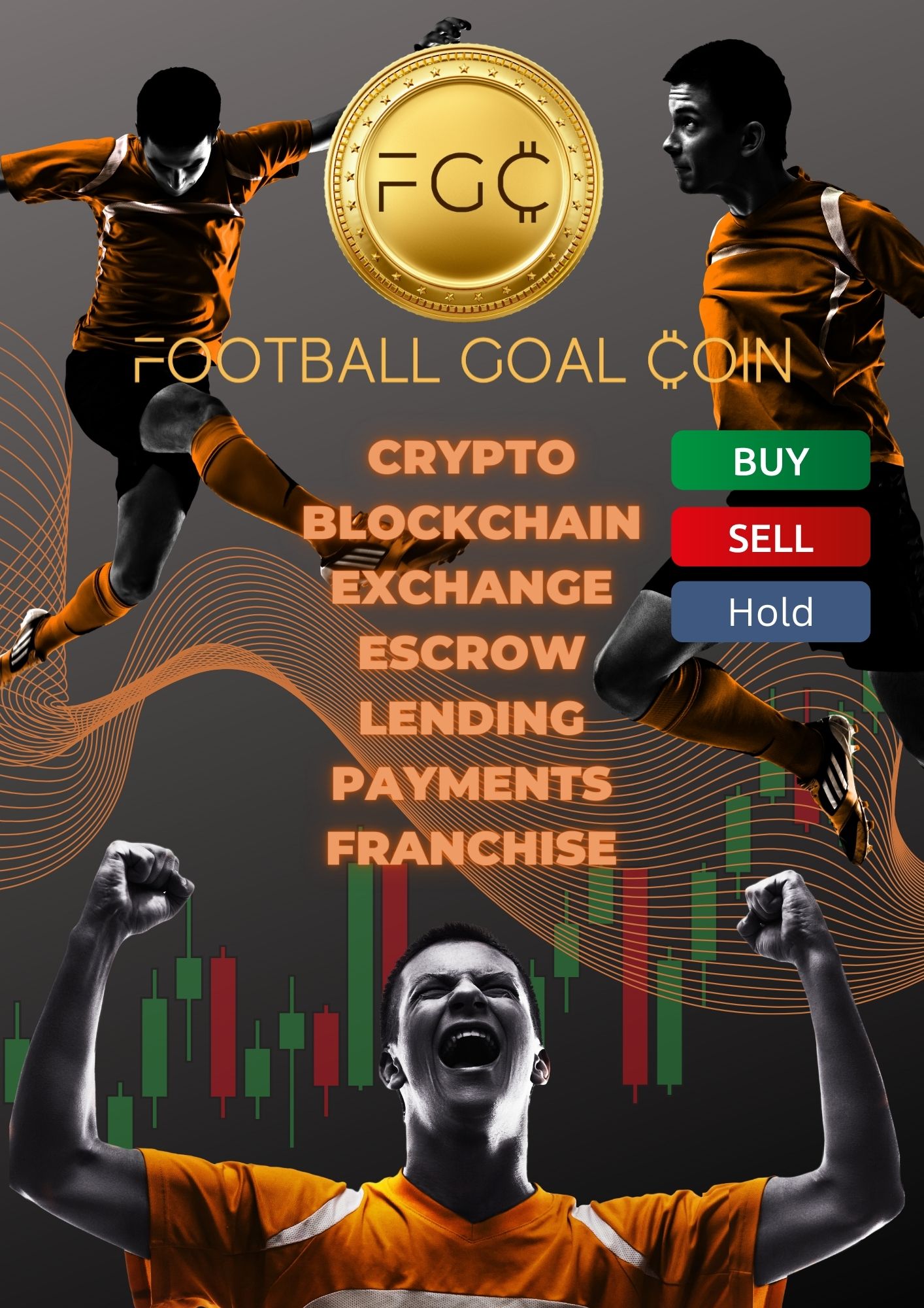 What Is FOOTBALL GOAL COIN (FGC)?